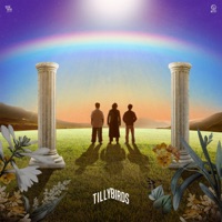 ปลายสายรุ้ง (ซนซน 40 ปี GMM GRAMMY) - Single - Tilly Birds