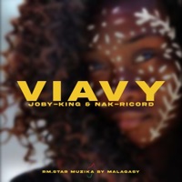 Viavy - Single - Joby King & Nak-Ricord