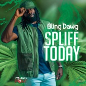 Bling Dawg - Spliff Today