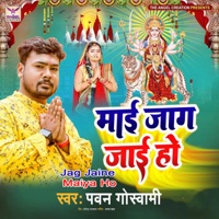 Jag Jaine Maiya Ho - Single - Pawan Goswami