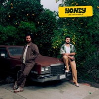 Honey (Remix) - Single - JonPaul Wallace, Bryan Hugo Iglesias & Curtis Roach