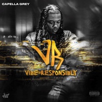 Vibe Responsibly, Vol. 1 - Capella Grey