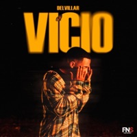 Vicio versions (Radio Edit) - Single - FnS