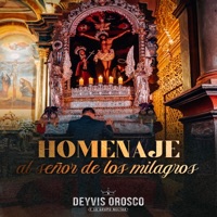 Homenaje al Señor de los Milagros - Single - Deyvis Orosco & Grupo Nectar