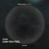Danix - Can You Feel