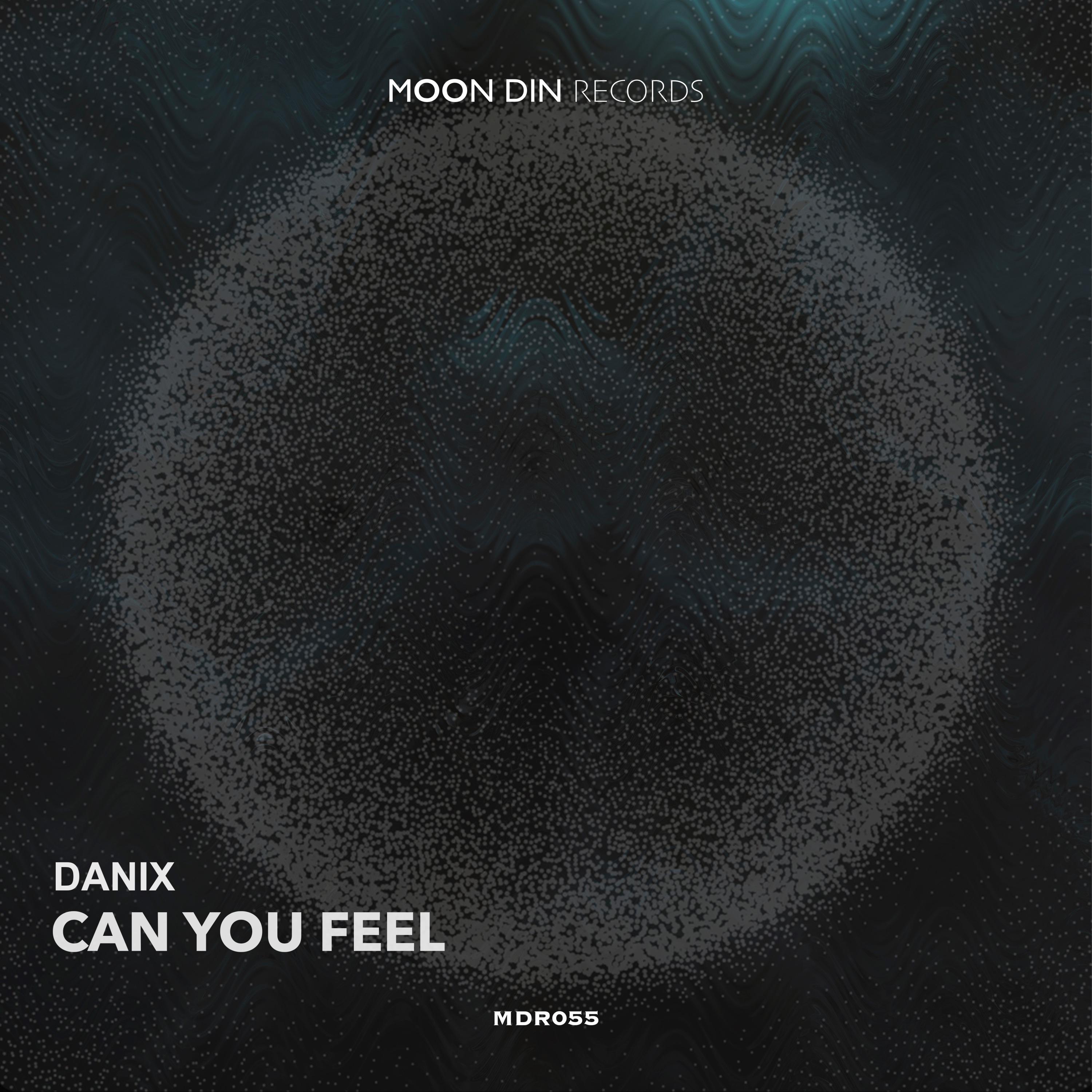 Danix - Can You Feel