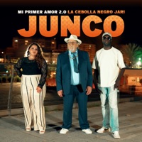 Mi Primer Amor 2.0 - Single - Junco, La Cebolla & Negro Jari