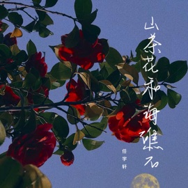 山茶花和海礁石 任宇轩
