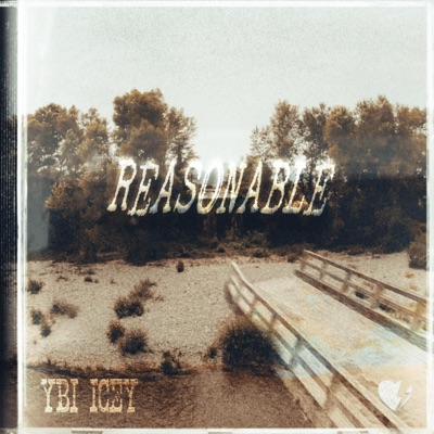 Reasonable - Single