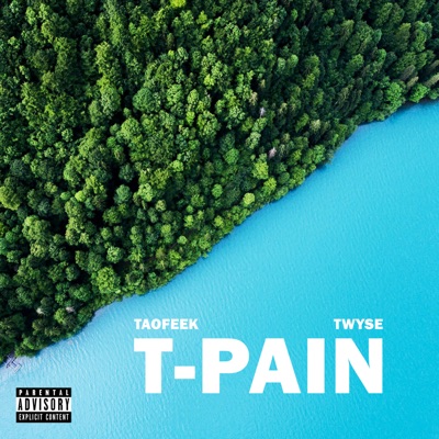 T Pain (feat. Twyse 116) - Single