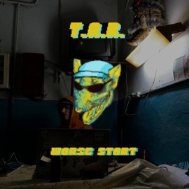 ptchh The Artistic Rats