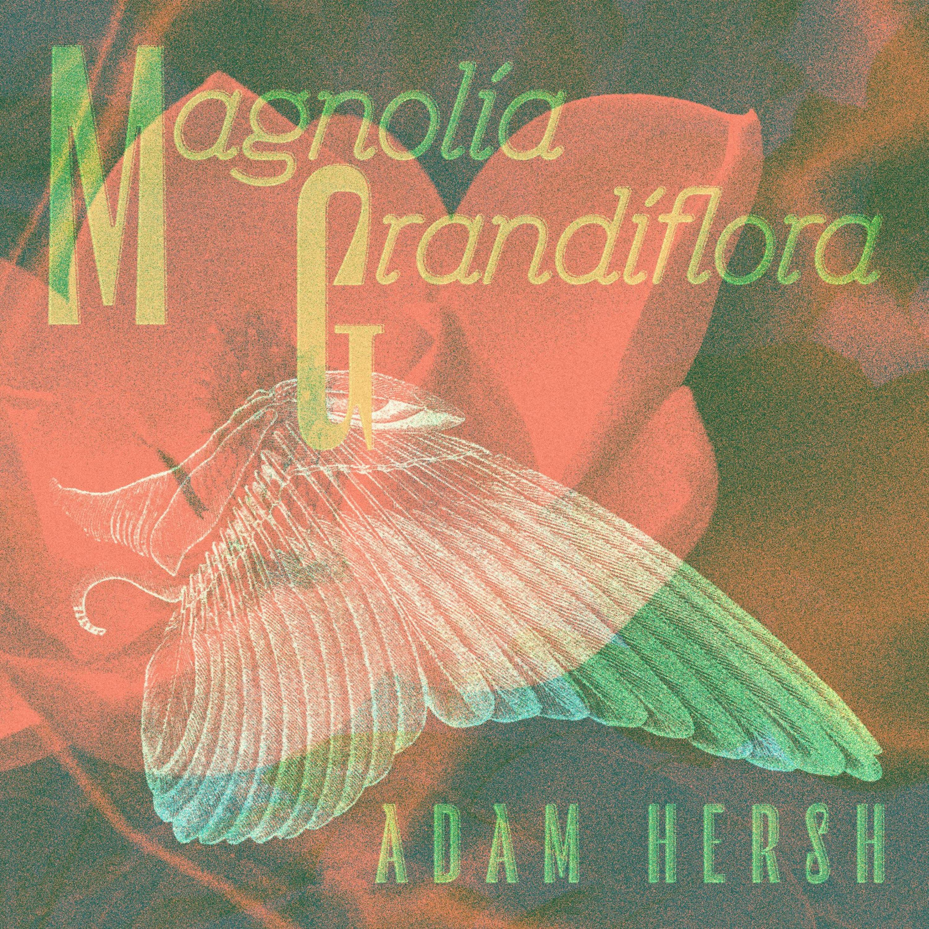 Magnolia Grandiflora (feat. Frederico Heliodoro, Tristan Cappel, Gary Novak, Max Walker & Daniel Massey) - Single
