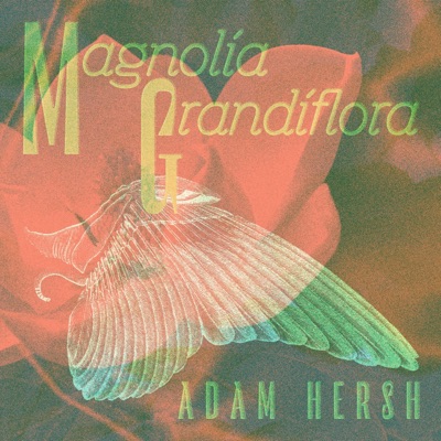 Magnolia Grandiflora (feat. Frederico Heliodoro, Tristan Cappel, Gary Novak, Max Walker & Daniel Massey) - Single