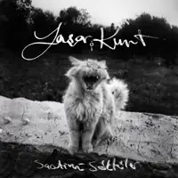 Saatimi Söktüler — Yaşar Kurt