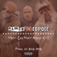 What Chu Know About It - Single - Namek & Coyote