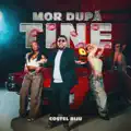 Mor dupa tine