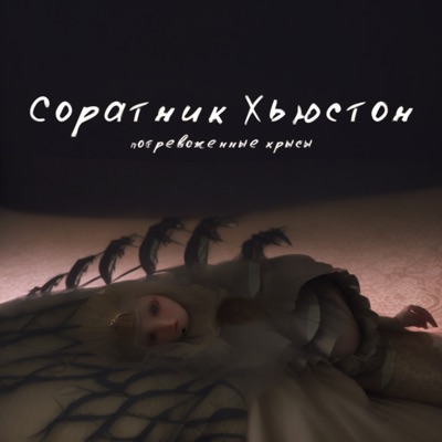 Соратник Хьюстон - Мавроди