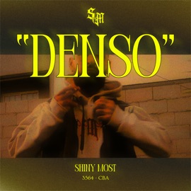 Denso Shiny Most
