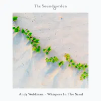 Whispers In The Sand — Andy Woldman