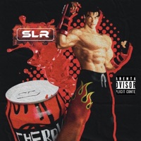 Charter Rental Pirate Ship (feat. Estebang, Saint Guap, [dru] & Big J Csb) - Single - Shadow League