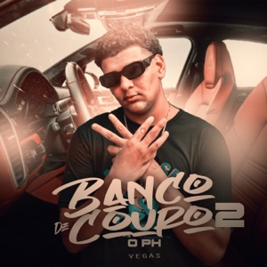 Banco de Couro 2