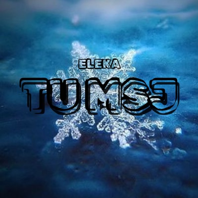 Tu Msj - Single