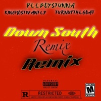 DownSouth (feat. Turnupthegoat & KINGMOSTWANTED) [Remix] - Single - Deeboystunna