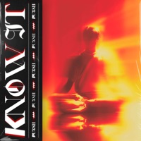 Know It - Single - PUNSH