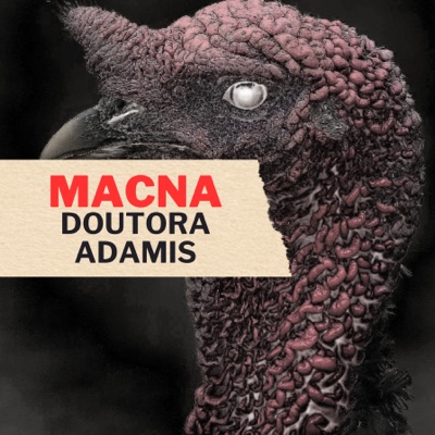 Doutora Adamis - Single