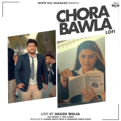 Chora Bawla Lofi (Lofi) - Single