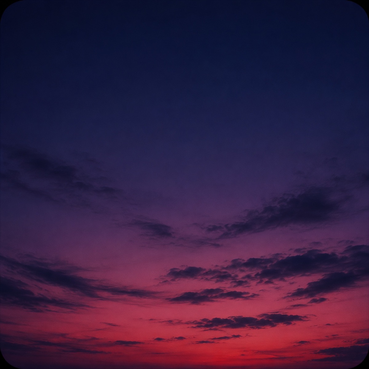 summer night - Single