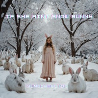 If She Ain't Snow Bunny (feat. Der Witz) - Single - yungcameltoe