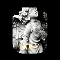 HOLY (feat. Pablo G) - Single - Queen Abolarin