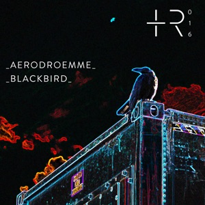 Blackbird - Single