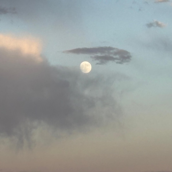 Fly By Night