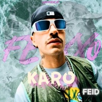 Feid (KARO) - Single - ANDDROYDBEAT$