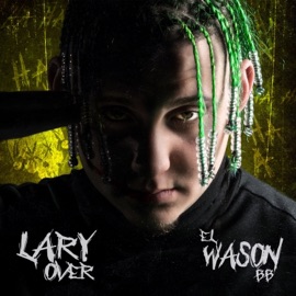 Pineapple Express (feat. Farruko & Jon Z) Lary Over