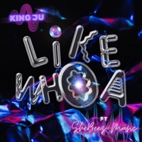 Like Whoa (feat. SheBeez) - Single - SoloKingJu