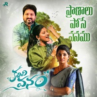 Pranalu Pose Vanamu (From 