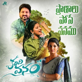 Pranalu Pose Vanamu (From 