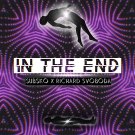 In The End (feat. Richard Svoboda) Subsko
