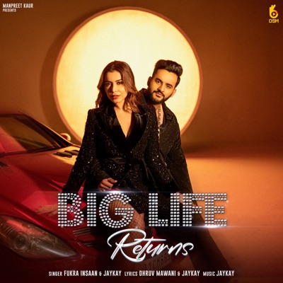 Big Life Returns (feat. Chitranshi) - Single