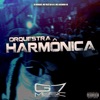 Orquestra Harmônica - Single