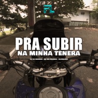 Pra Subir na Minha Tenera - Single - DJ CR Original, MC WR ORIGINAL & Oliverjdlz