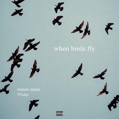 when birds fly (feat. 97otis) - Single