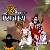 Om Namah Shivay Dhun - Single - Pravin Ravat