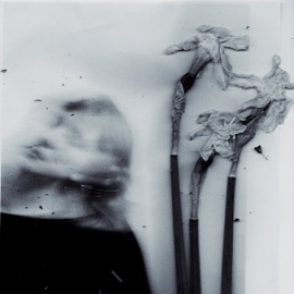 дюшеска renie cares & Polina Maiboroda