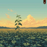 grow & glow - Single - pucca & ChonRa