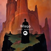 Lost Memory - Single - Wisqo & M-Sol DEEP