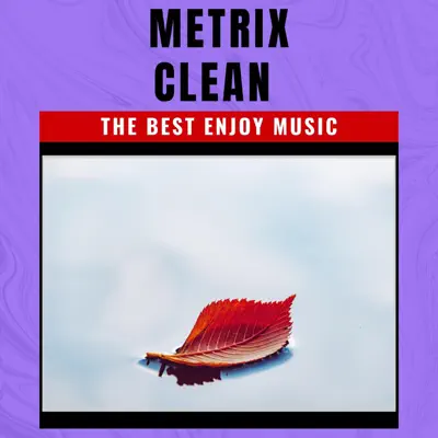 Hör dir „CLEAN - Single“ von MATRIX an